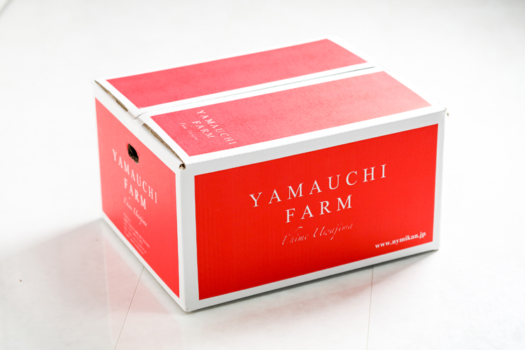 YAMAUCHI FARM / ブラッドオレンジ（タロッコ） 10kg